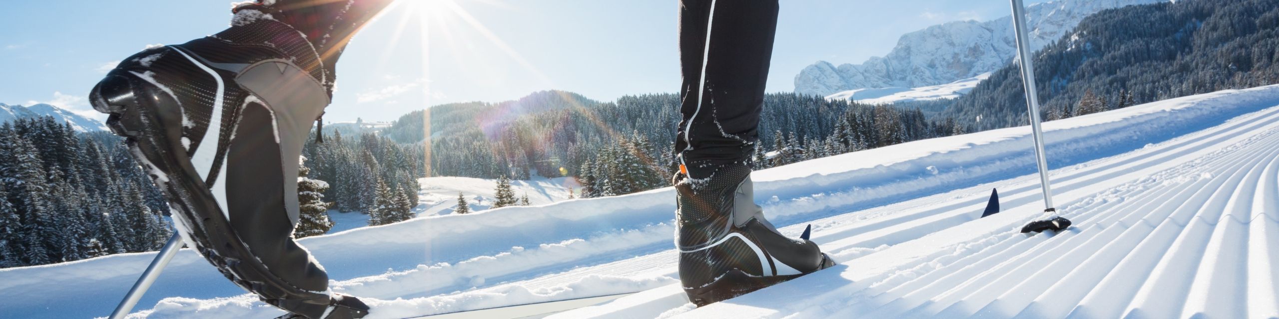 Langlaufschuhe Langlaufschuhe