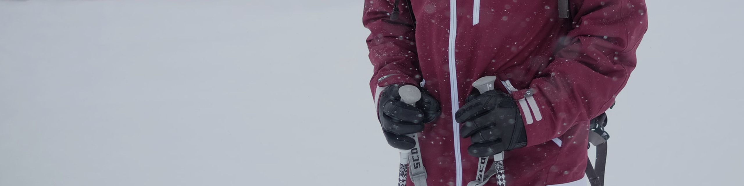 Gants et moufles de ski pour hommes