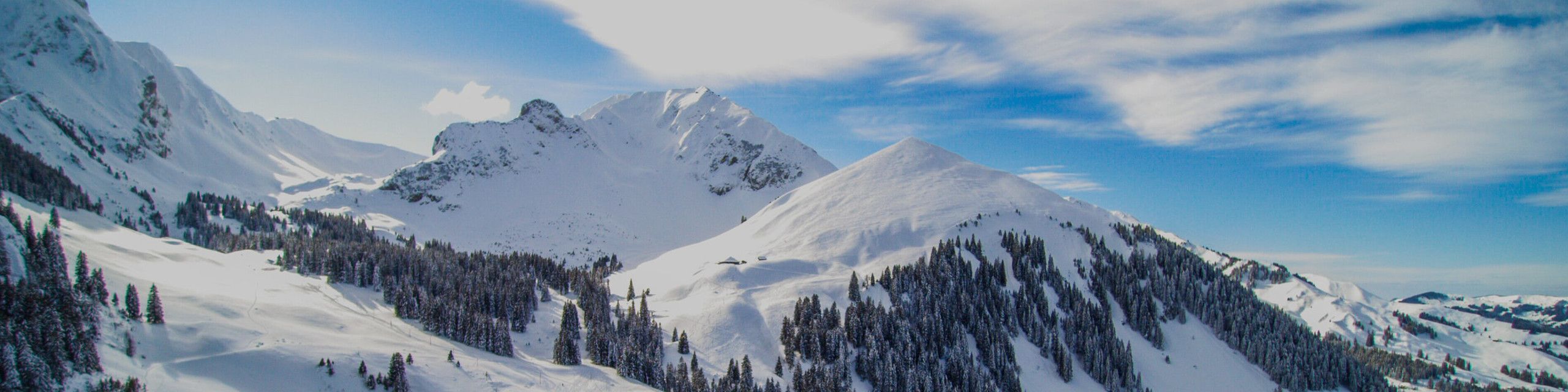 Nordica Nordica