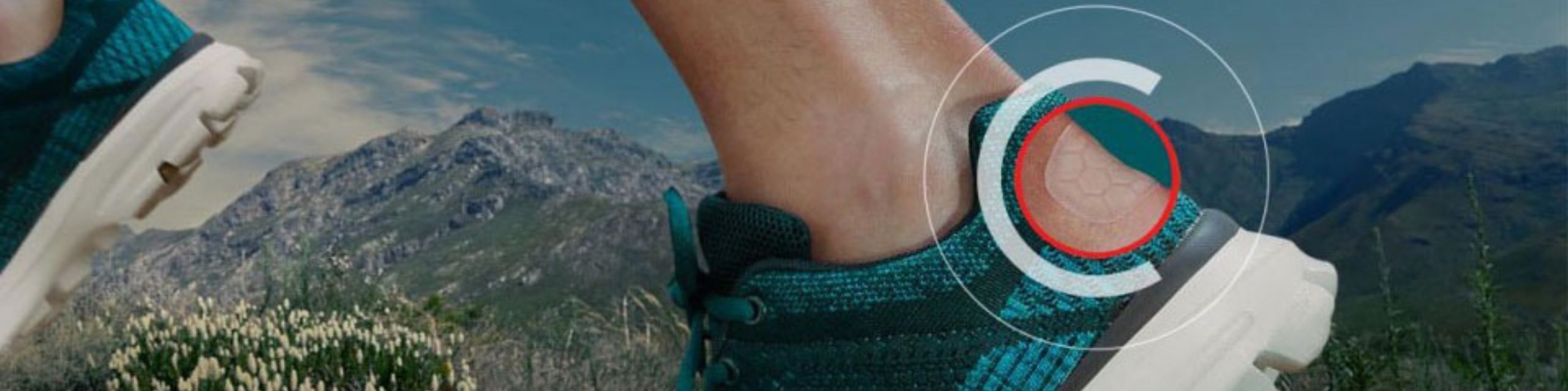 Compeed Compeed