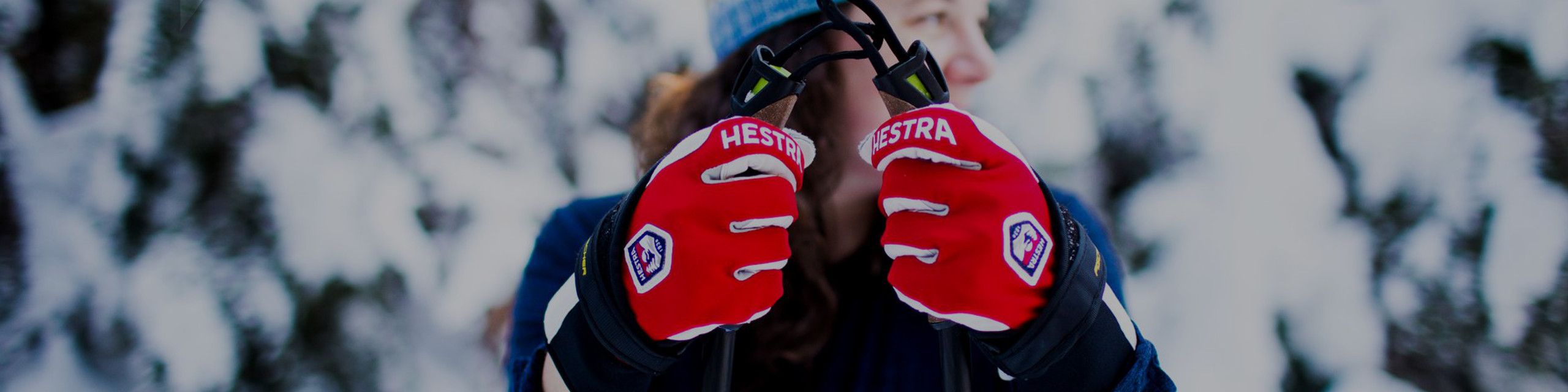 Hestra gloves
