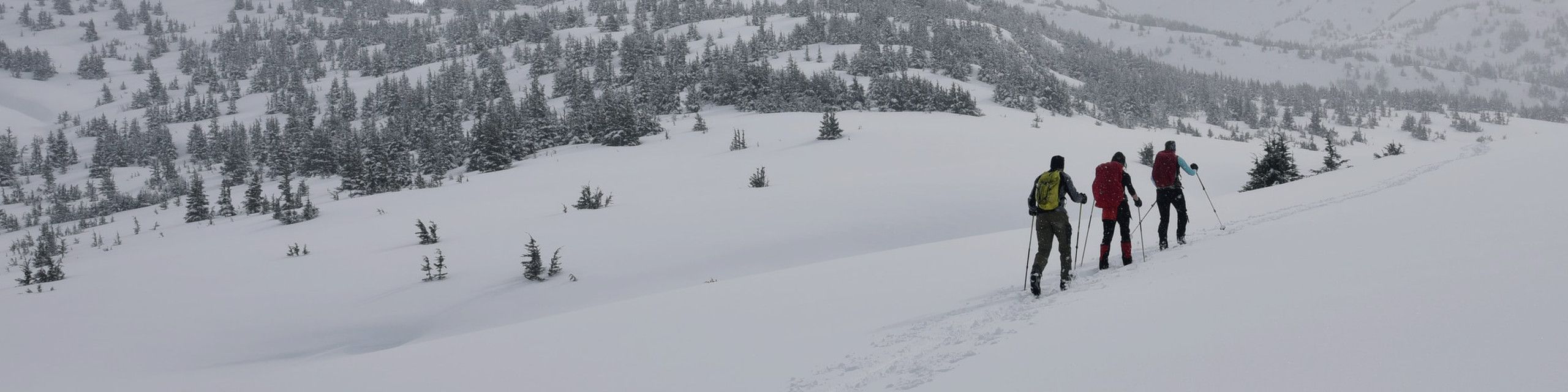 Snowtech Snowtech