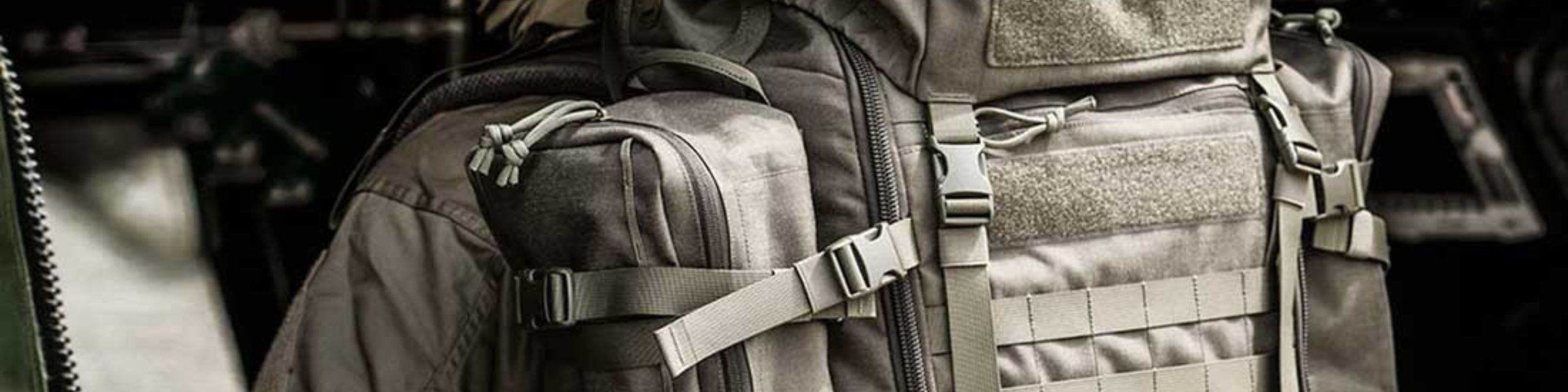 Tasmanian Tiger Tasmanian Tiger