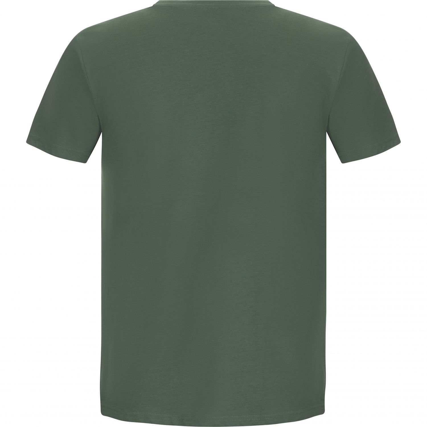 2117 of Sweden Apelviken t-shirt, heren, groen