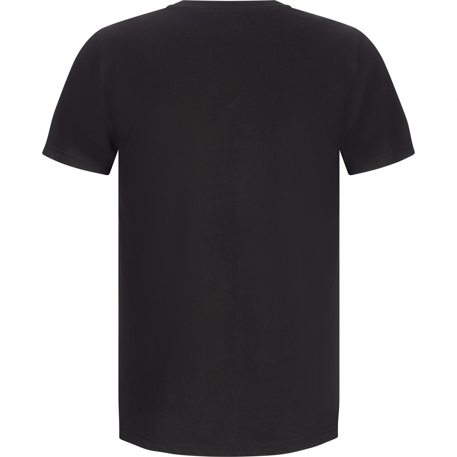 2117 of Sweden Apelviken, t-shirt, men, black