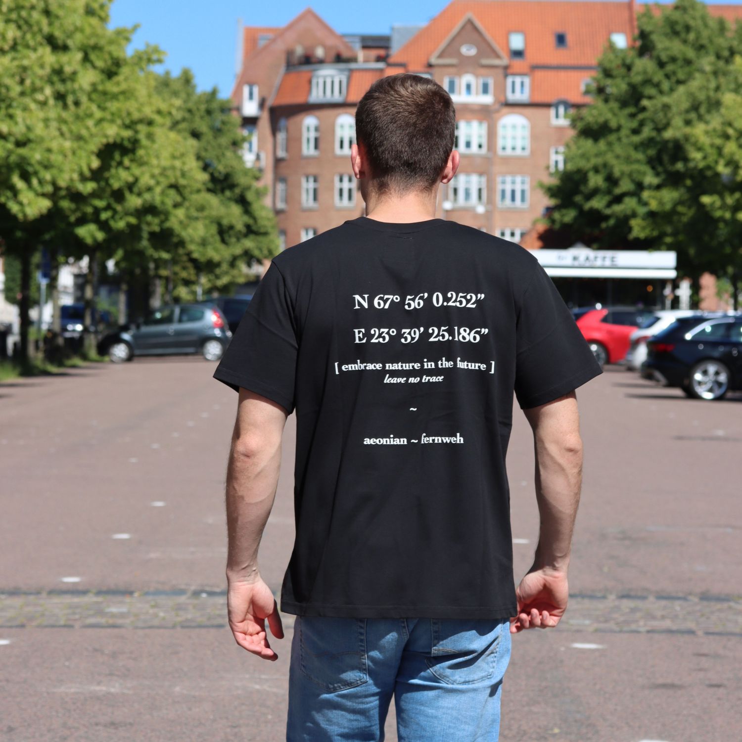 Aeonian the LYNGEN, T-shirt, Char