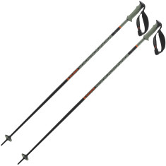 Bastões de esqui Salomon Polar Pro S3, verde
