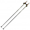 Bastoncini da sci di fondo Swix Dynamic D3, neri