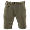 Carinthia Goldeck Shorts, unisex, green