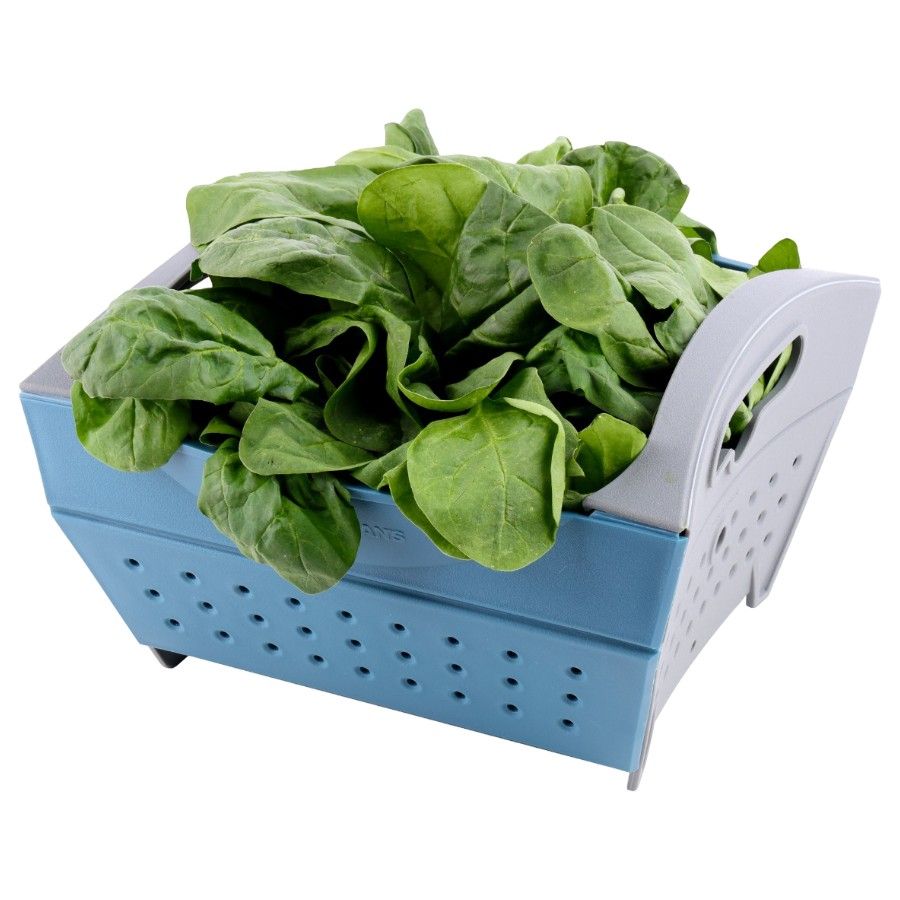 Coghlans Snapfold Colander - Standard, utensili da cucina