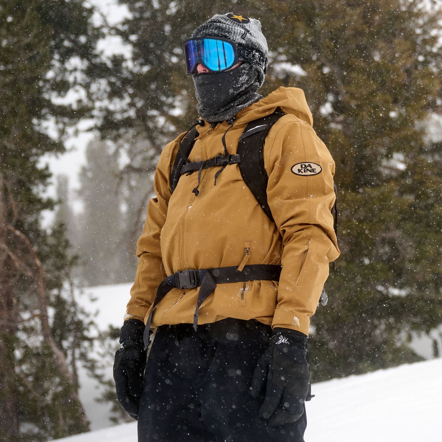 Dakine Heli Pro, 20L, zwart