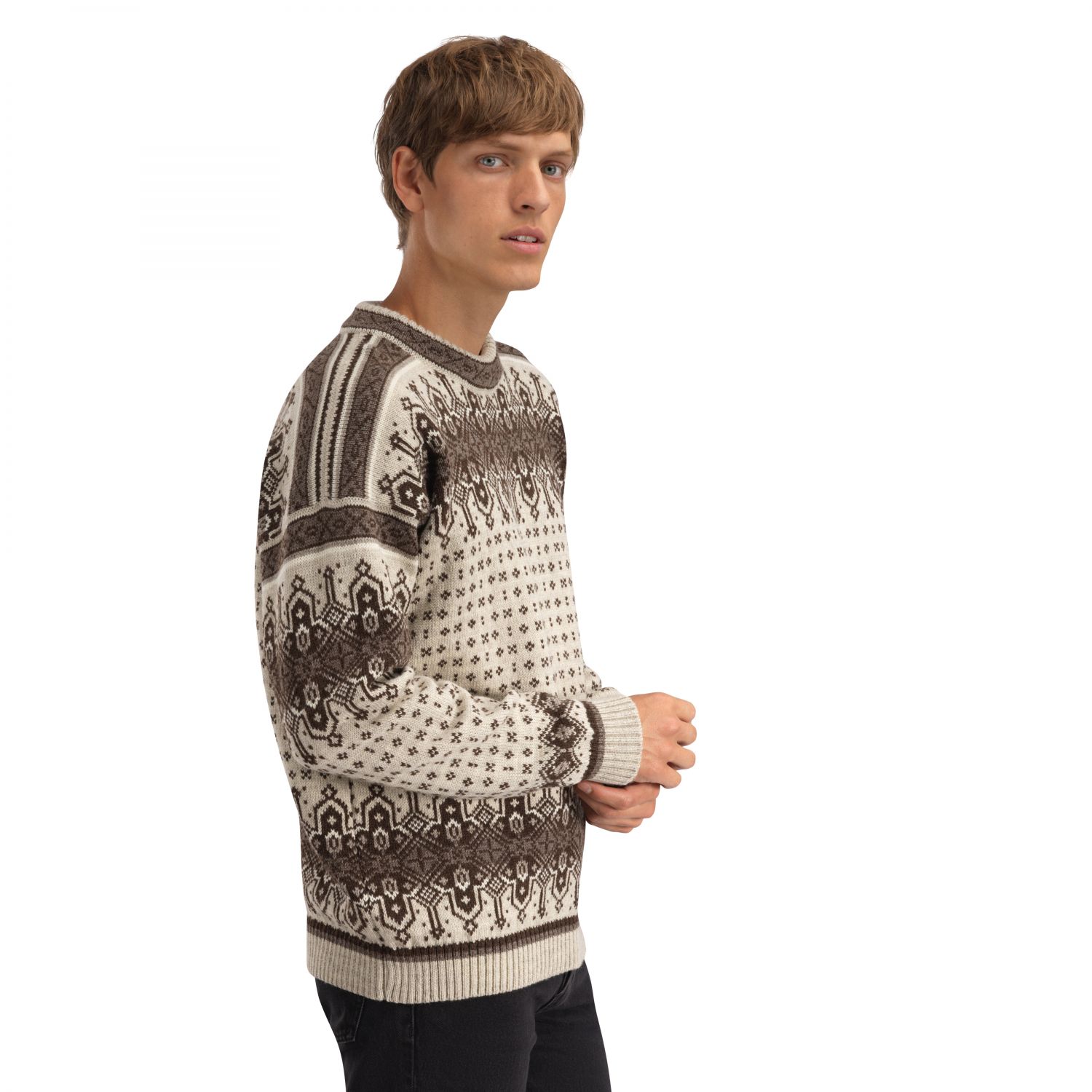 Dale of Norway Albertville Masc. Sweater, masculino, birch coffee
