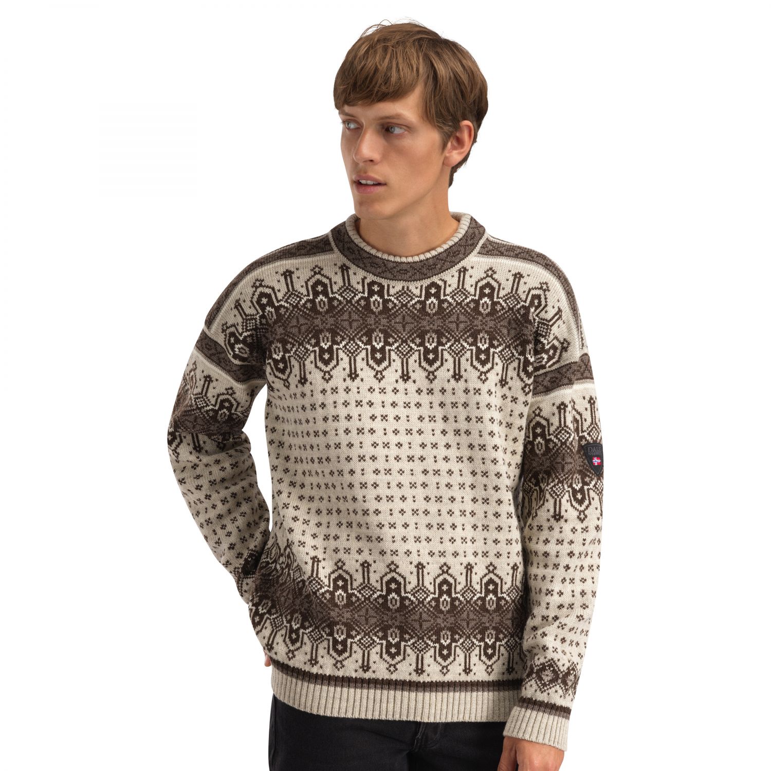 Dale of Norway Albertville Masc. Sweter, męska, birch coffee