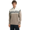 Dale of Norway Moritz, sweater, herre, lysebrun