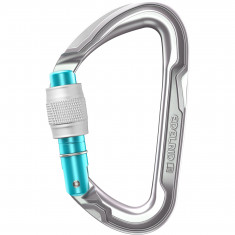 Edelrid Pure Screw Carabiner, unisex, silver