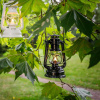 Feuerhand Hurricane Lantern 276, lykt, jet svart
