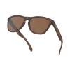 Gafas Oakley Frogskins, Prizm Tungsteno