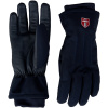 Guanti da sci Swix Blizzard, navy