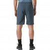 Helly Hansen Elv Light Tur, short, homme, alpine frost