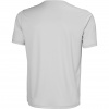 Helly Hansen HH Tech Graphic T-Shirt 2.0, pánské, sv?tle ?edá