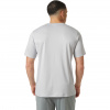 Helly Hansen HH Tech Graphic T-Shirt 2.0, pánske, svetlo šedá