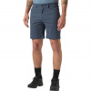 Helly Hansen Holmen 5 Pocket, pantaloncini, uomo, alpine frost