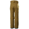 Helly Hansen Legendary, calças de esqui, júnior, castanho
