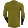 Helly Hansen Lifa Merino Midweight Crew, men, green