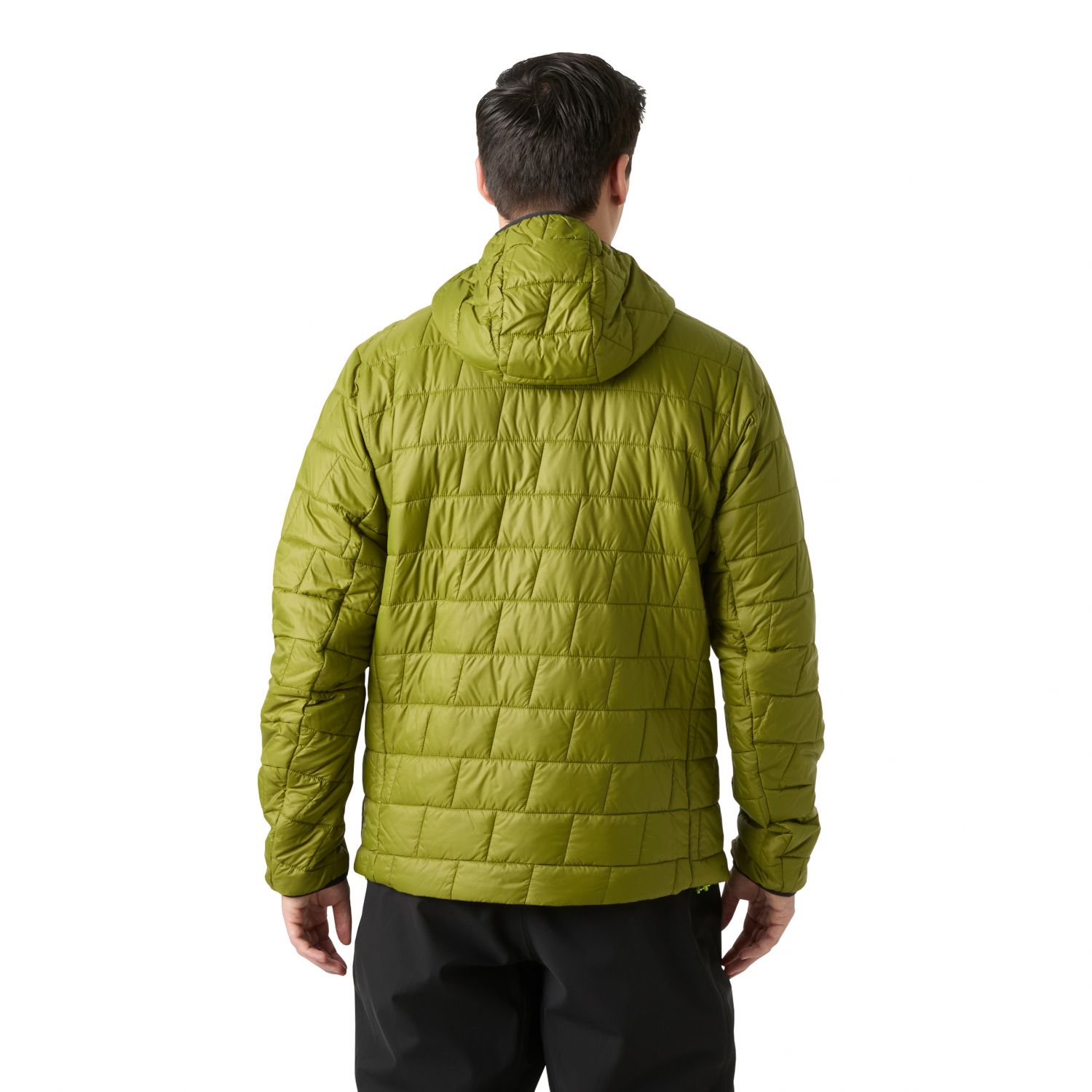 Helly Hansen Lifaloft Hooded, jaqueta acolchoada de fibra, masculino, verde