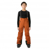 Helly Hansen No Limits 2.0, calças de esqui, juniores, castanho