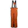 Helly Hansen No Limits 2.0, lyžiarske nohavice, junior, hnedá