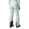 Helly Hansen Powderqueen, pantaloni da sci, donna, verde chiaro
