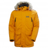 Helly Hansen Reine, parka, pánska, žltá