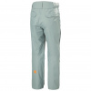 Helly Hansen Sogn Cargo lyžiarske nohavice, pánske, cactus