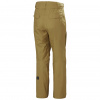 Helly Hansen Sogn Cargo, ski broek, meneer, lynx