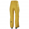 Helly Hansen Sogn Cargo ski pants, men, arrowwood