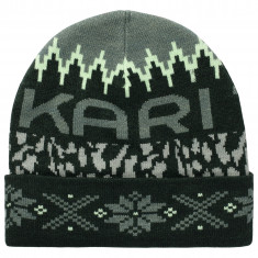 Kari Traa Khloe, beanie, pine
