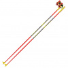 Leki PRC 700, ski poles, black
