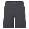 Montane Genoa Lite Shorts, Herren, grau