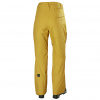 Helly Hansen Sogn Cargo, spodnie narciarskie, męskie, arrowwood