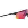 Oakley EVZero Blades, PRIZM™, Polished Black