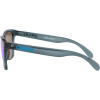 Oakley Frogskins, PRIZM™, Crystal Black