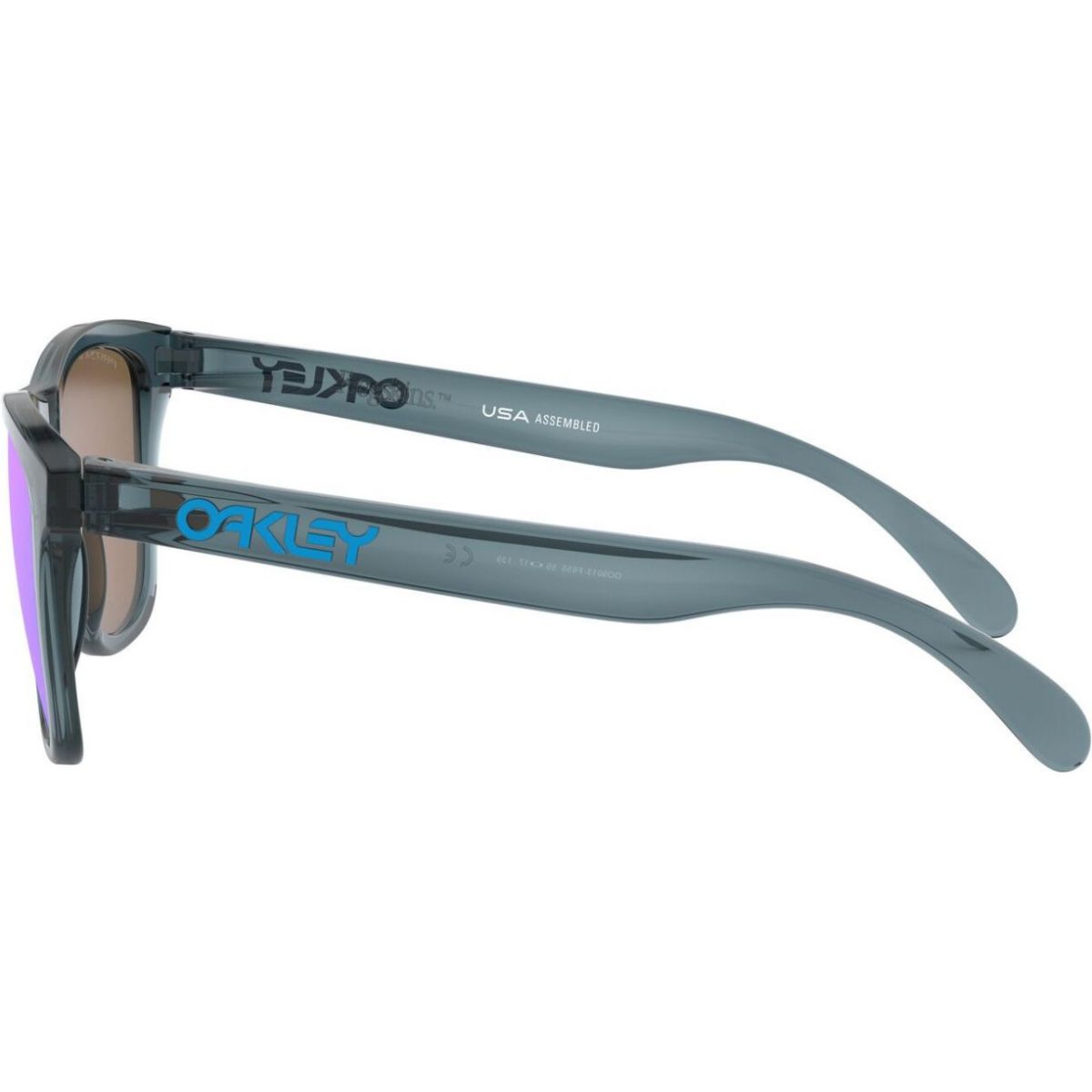 Oakley Frogskins, PRIZM™, Crystal Black