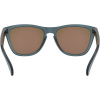 Oakley Frogskins, PRIZM™, Crystal Black