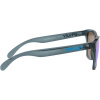 Oakley Frogskins, PRIZM™, Crystal Black