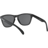 Oakley Frogskins, PRIZM™, Matte Black