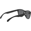 Oakley Frogskins, PRIZM™, Matte Black