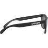 Oakley Frogskins, PRIZM™, Matte Black