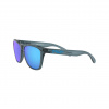 Oakley Frogskins, PRIZM™, Crystal Black