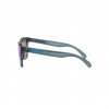 Oakley Frogskins, PRIZM™, Crystal Black